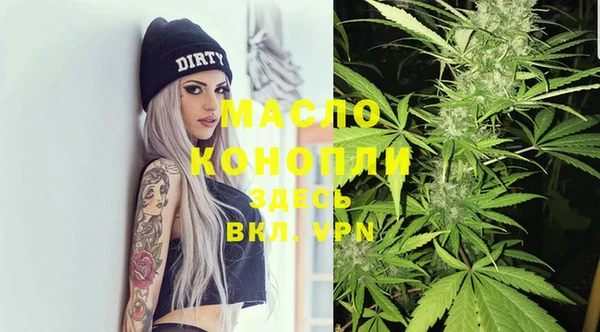 твердый Надым