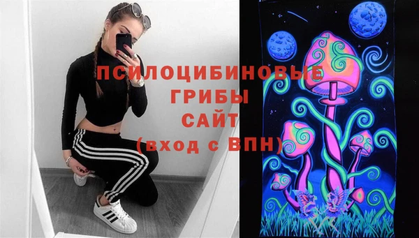 гидра Лабытнанги