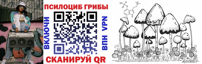 Псилоцибиновые грибы Cubensis  Ленск 